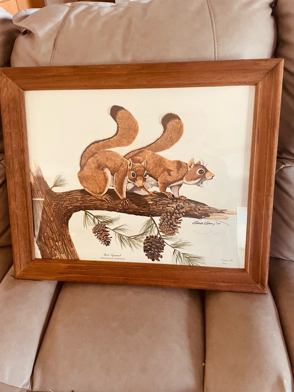 Signed Red Squirrel framed lithograph print Gene Gray 1977 Rare find 511/1000
